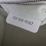 Dior Diorama Medium Perforated Studded _IMG_7489.jpg