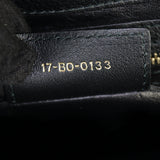 Dior Diorling Large_IMG_2839.jpg