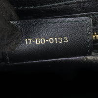 Dior Diorling Large_IMG_2839.jpg