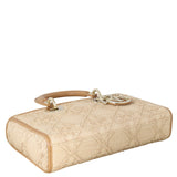 Dior Lady D-Joy Medium Raffia_IMG_6120.jpeg
