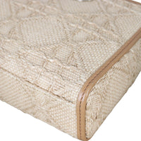 Dior Lady D-Joy Medium Raffia_IMG_6124.jpeg
