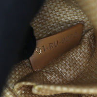 Dior Lady D-Joy Medium Raffia_IMG_6130.jpg