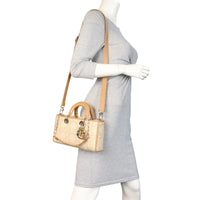 Dior Lady D-Joy Medium Raffia_IMG_6156.jpeg