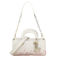 Dior Lady D-Joy Small Coral Embroidery_IMG_5007.jpg