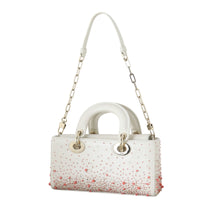 Dior Lady D-Joy Small Coral Embroidery_IMG_5008.jpeg