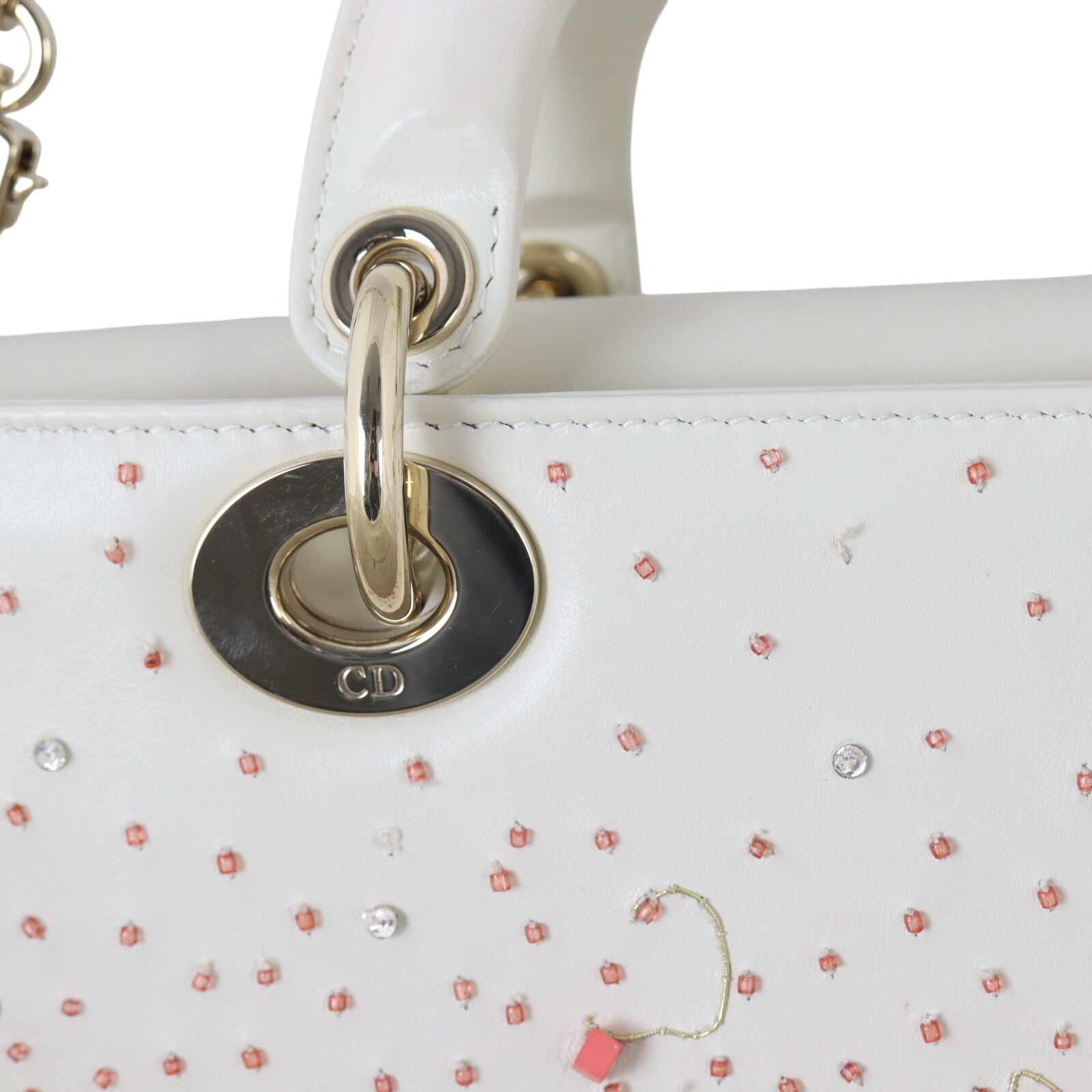 Dior Lady D-Joy Small Coral Embroidery_IMG_5009.jpeg