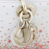 Dior Lady D-Joy Small Coral Embroidery_IMG_5011.jpg