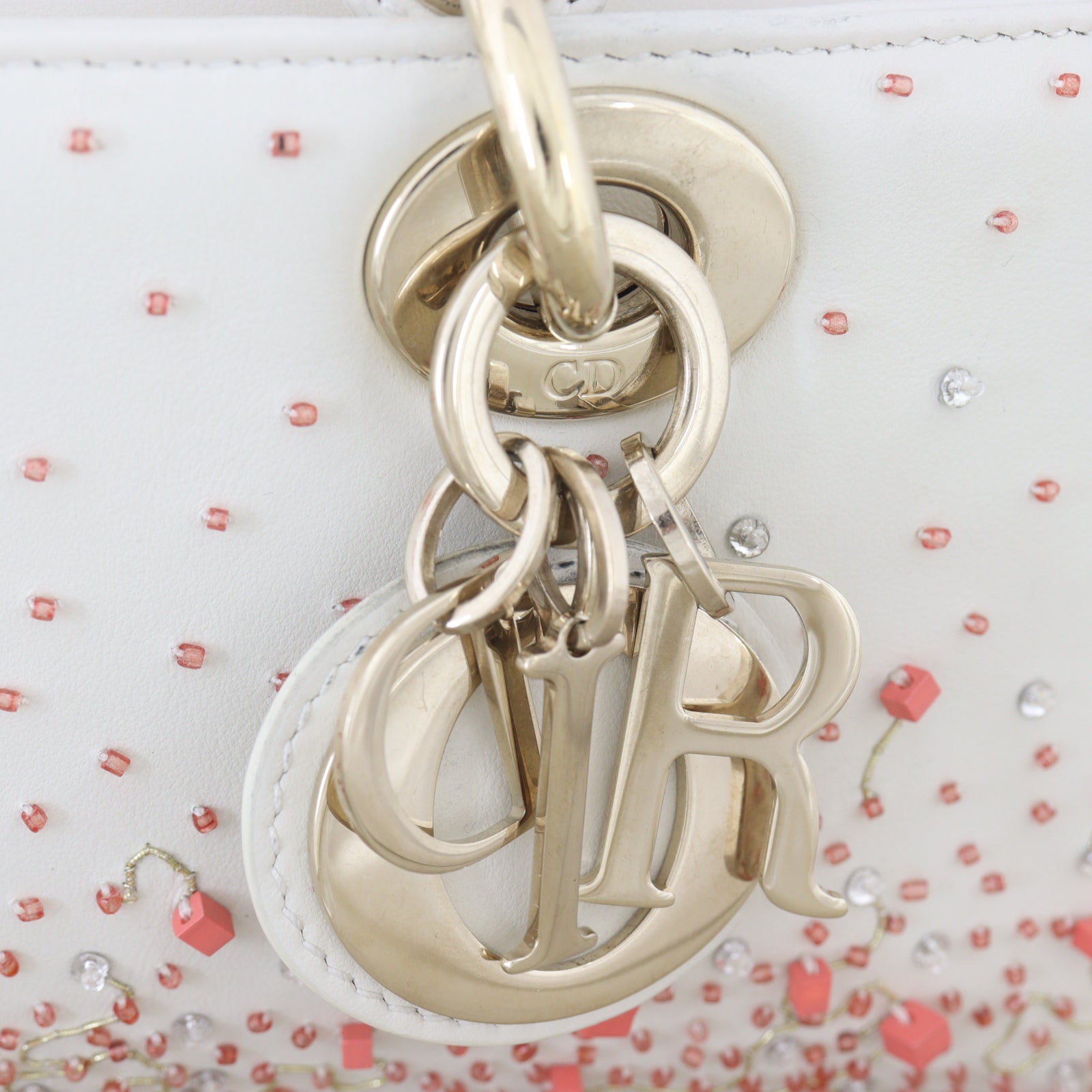 Dior Lady D-Joy Small Coral Embroidery_IMG_5011.jpg