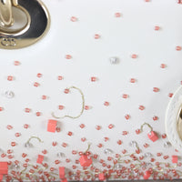 Dior Lady D-Joy Small Coral Embroidery_IMG_5012.jpg