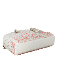 Dior Lady D-Joy Small Coral Embroidery_IMG_5014.jpeg