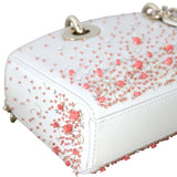 Dior Lady D-Joy Small Coral Embroidery_IMG_5015.jpg