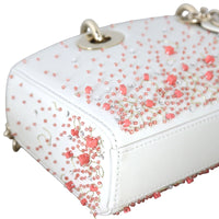 Dior Lady D-Joy Small Coral Embroidery_IMG_5015.jpg