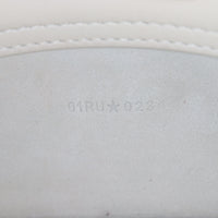 Dior Lady D-Joy Small Coral Embroidery_IMG_5019.jpg