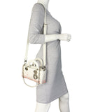 Dior Lady D-Joy Small Coral Embroidery_IMG_8769.jpeg