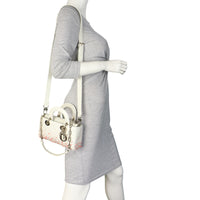 Dior Lady D-Joy Small Coral Embroidery_IMG_8769.jpeg