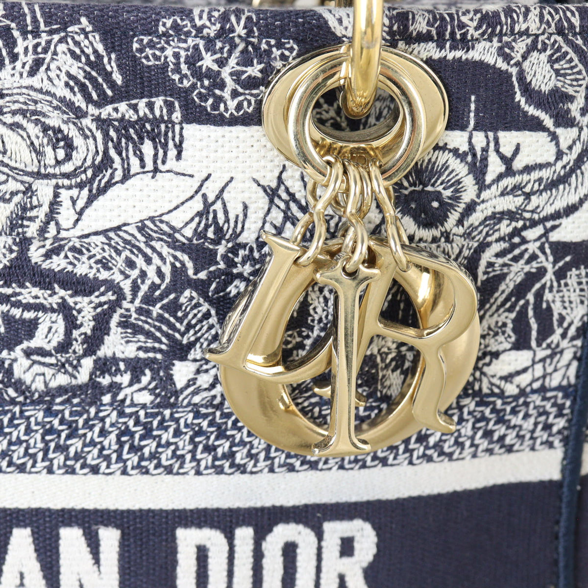 Dior Lady D-Lite Medium Toile De Jouy Reverse_IMG_4936.jpg
