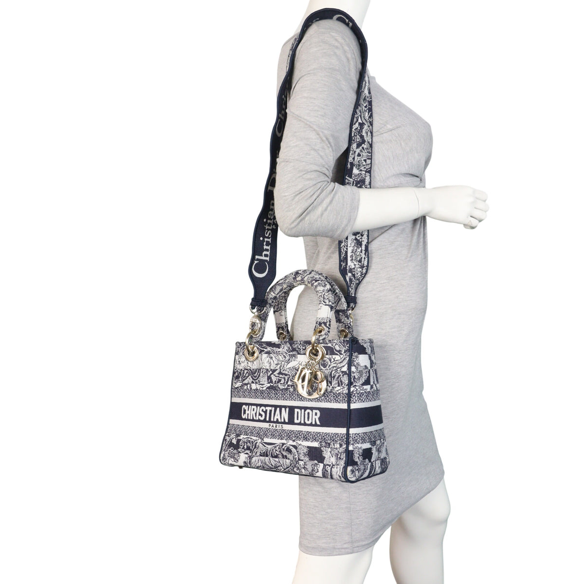Dior Lady D-Lite Medium Toile De Jouy Reverse_IMG_5343.jpeg