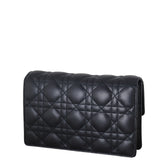 Dior Lady Dior Chain Pouch_IMG_2054.jpeg