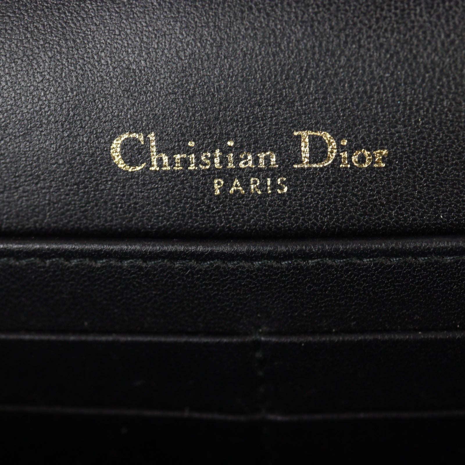Dior Lady Dior Chain Pouch_IMG_2057.jpg