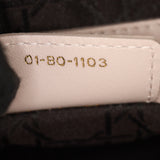 Dior Lady Dior Medium_IMG_0234.jpg