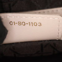 Dior Lady Dior Medium_IMG_0234.jpg