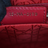 Dior Lady Dior Medium_IMG_1141.jpg