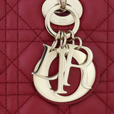 Dior Lady Dior Medium_IMG_1143.jpg