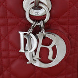 Dior Lady Dior Medium_IMG_4781.jpg