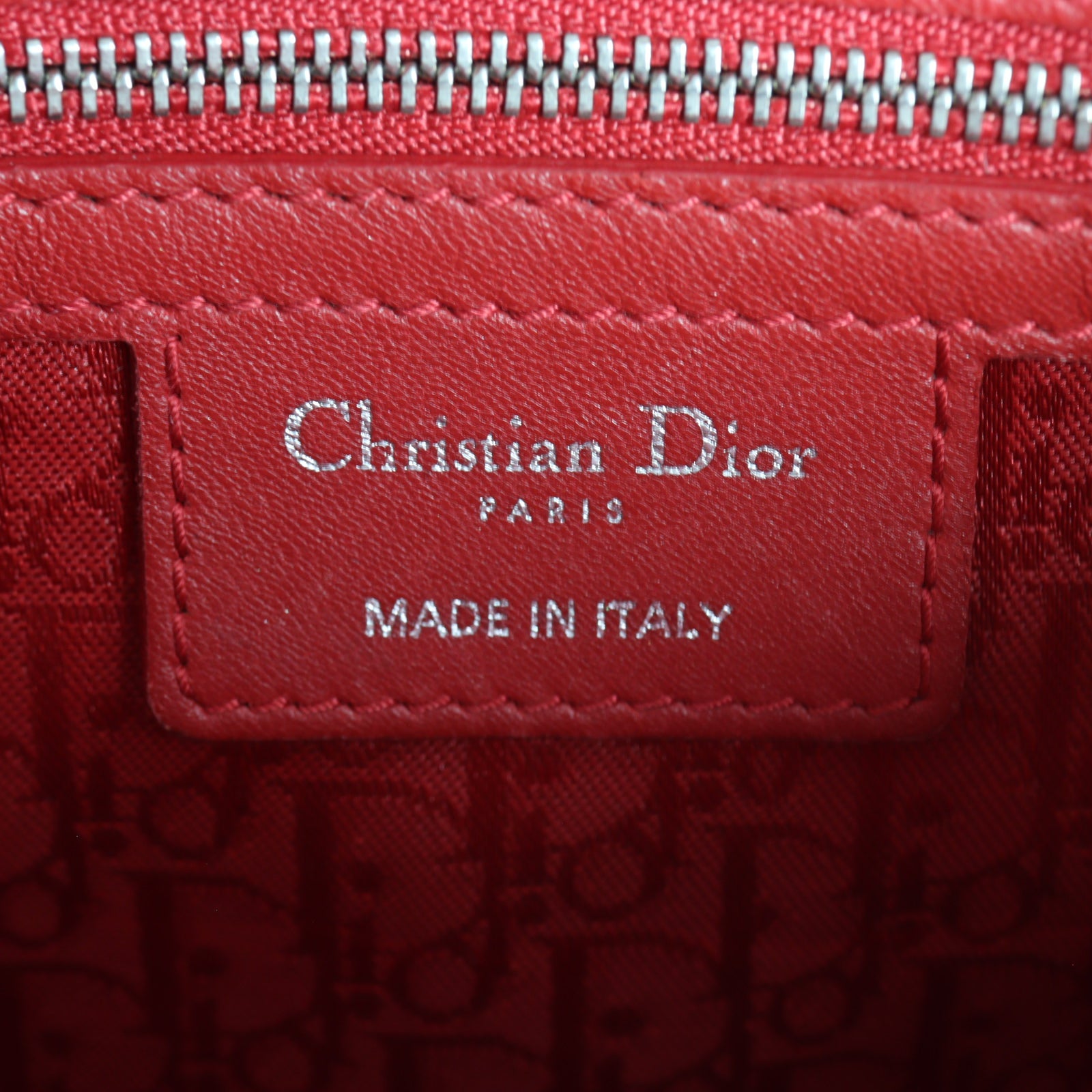 Dior Lady Dior Medium_IMG_4788.jpg