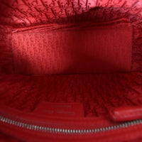 Dior Lady Dior Medium_IMG_4794.jpg