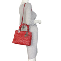 Dior Lady Dior Medium_IMG_4860.jpeg