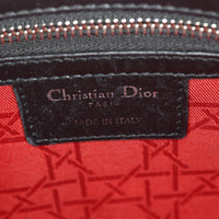 Dior Lady Dior Medium_IMG_6598.jpg