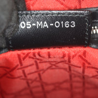Dior Lady Dior Medium_IMG_6600.jpg
