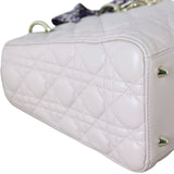 Dior Lady Dior Medium_IMG_8153.jpg