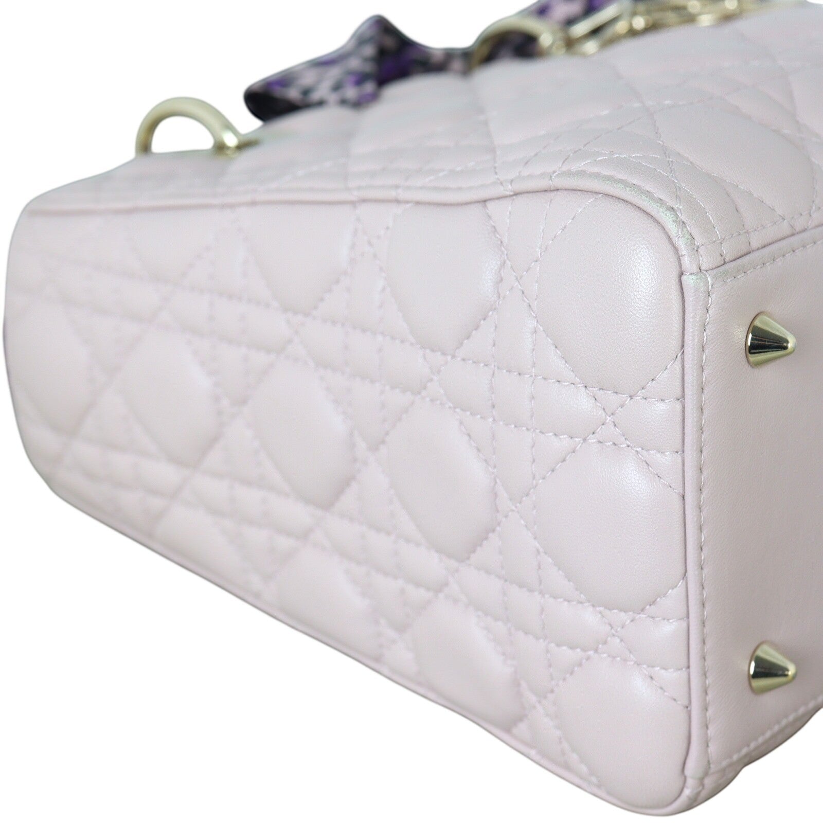 Dior Lady Dior Medium_IMG_8153.jpg