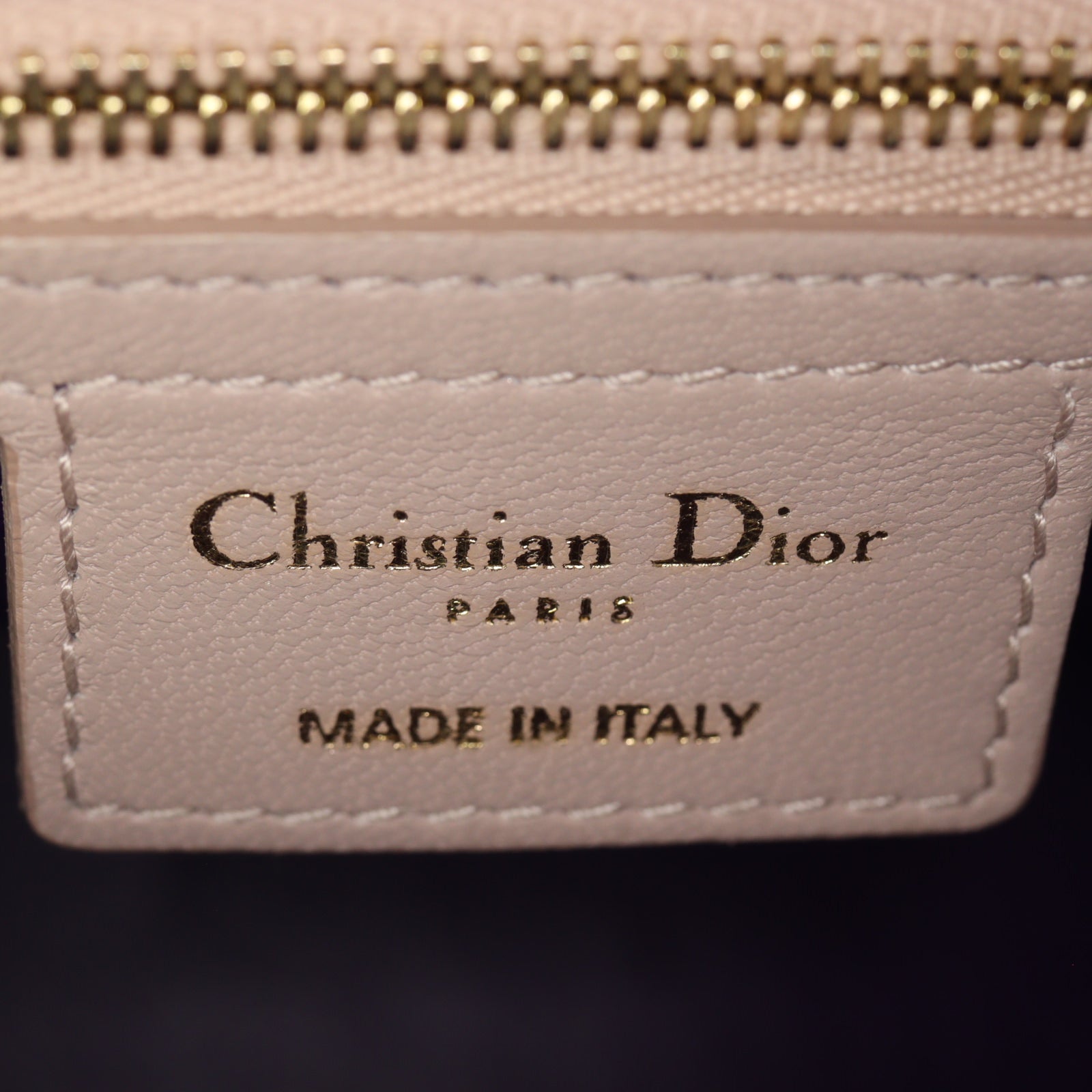 Dior Lady Dior Medium_IMG_8157.jpg