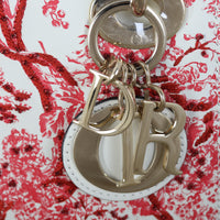 Dior Lady Dior Mini Floral Toile de Jouy_IMG_7964.jpg