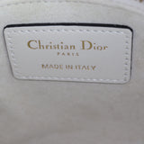 Dior Lady Dior Mini Floral Toile de Jouy_IMG_7969.jpg