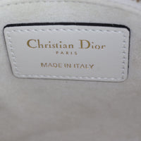 Dior Lady Dior Mini Floral Toile de Jouy_IMG_7969.jpg