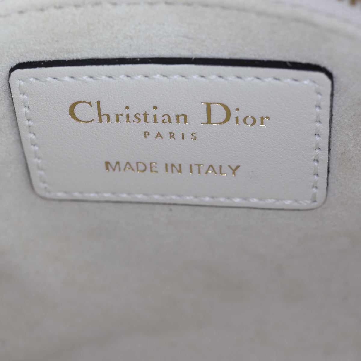 Dior Lady Dior Mini Floral Toile de Jouy_IMG_7969.jpg