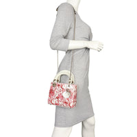 Dior Lady Dior Mini Floral Toile de Jouy_IMG_8268.jpeg