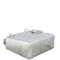 Dior Lady Dior Mini Printed Metallic_IMG_4598.jpeg