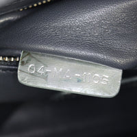 Dior Lady Dior Mini Printed Metallic_IMG_4602.jpg