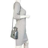 Dior Lady Dior Mini Printed Metallic_IMG_4822.jpeg