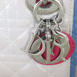 Dior Lady Dior Mini Tricolour_IMG_6968.jpg