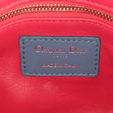Dior Lady Dior Mini Tricolour_IMG_6969.jpg