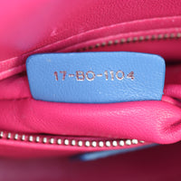 Dior Lady Dior Mini Tricolour_IMG_6971.jpg