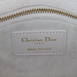 Dior Lady Dior Mini_IMG_4953.jpg