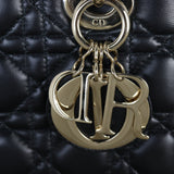 Dior Lady Dior My ABCDior Small_IMG_4722.jpg