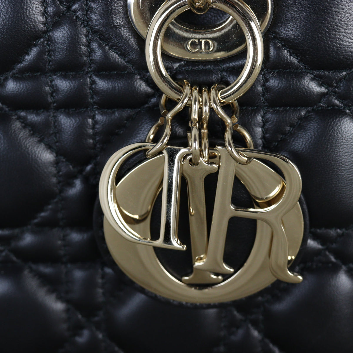 Dior Lady Dior My ABCDior Small_IMG_4722.jpg
